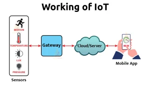 How does IoT devices work ?