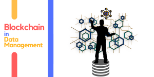 Is Blockchain Technology related to Data Management?